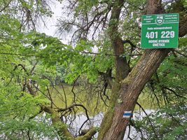 Horní rybník Únětice označení 20.6.24 (2).jpg